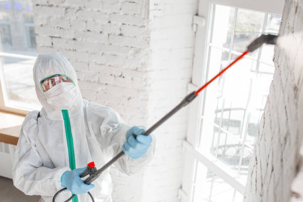 Best Real Estate Mold Inspection  in Mono Vista, CA