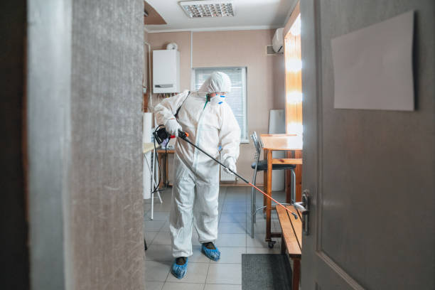 Best Mold Remediation for Healthcare Facilities  in Mono Vista, CA