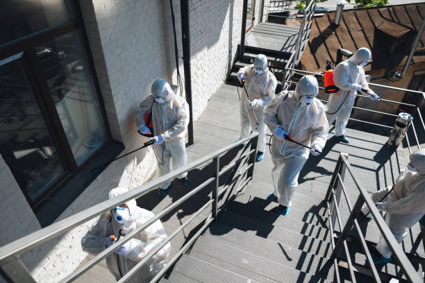 Best Biohazard Mold Removal  in Mono Vista, CA