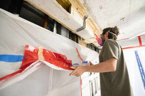 Best Comprehensive Air Testing for Mold Contaminants  in Mono Vista, CA
