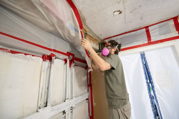 Best Industrial Mold Remediation  in Mono Vista, CA