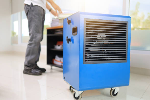 Best Mold Odor Removal Services  in Mono Vista, CA