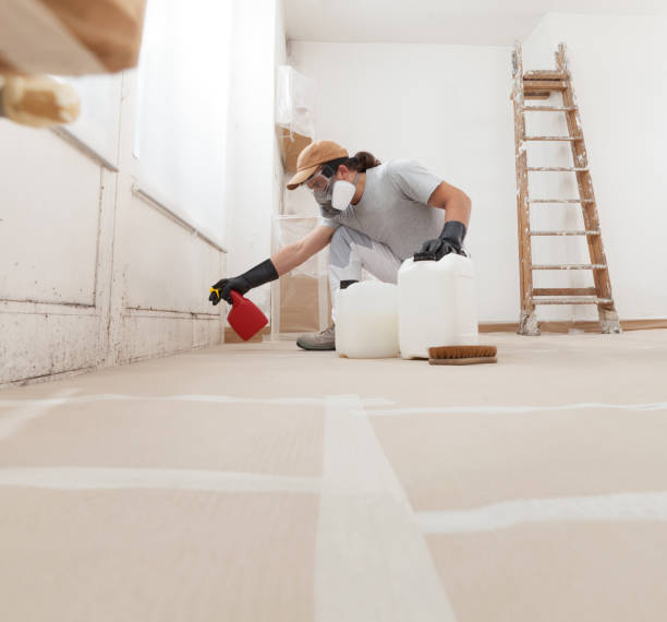 Best Airborne Mold Testing  in Mono Vista, CA