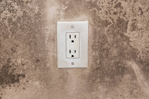 Best Dehumidification Services  in Mono Vista, CA